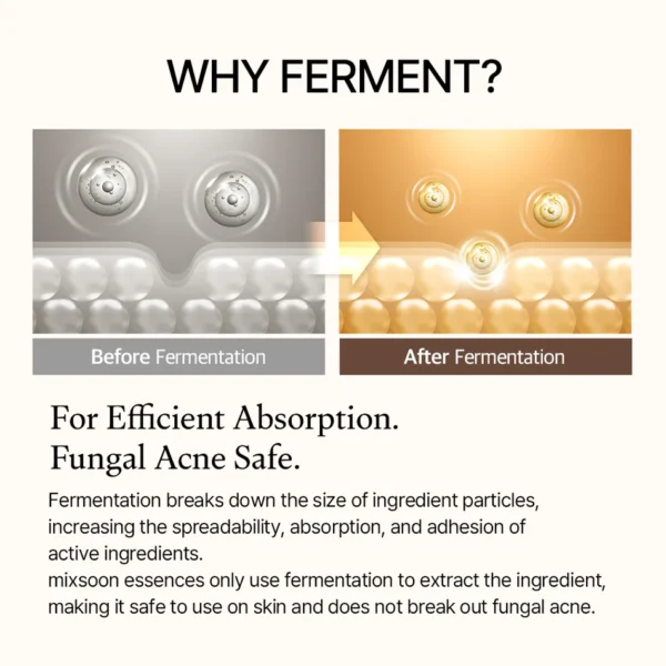 Bean Essence – Fermented Hydrating & Smoothing Essence - Image 5