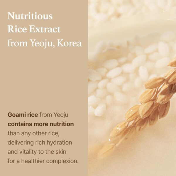 I'm From – Rice Cream - Image 3
