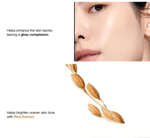 ANUA - 7 Rice Ceramide Hydrating Barrier Serum - Image 5