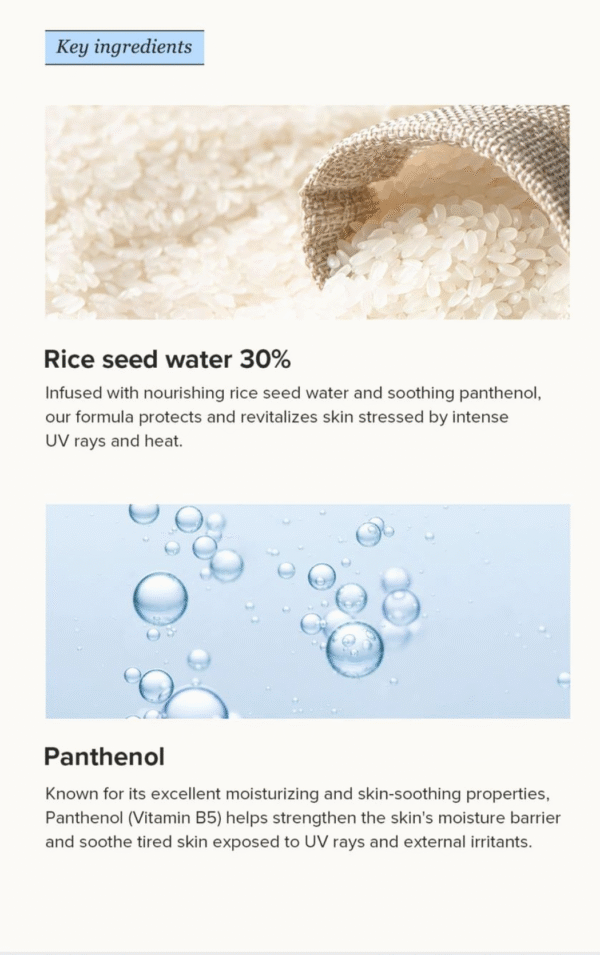Beauty of Joseon – Relief Sun: Rice + Probiotics SPF50+ PA++++ - Image 5