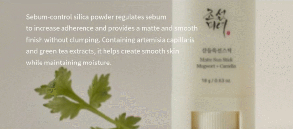 Beauty of Joseon – Matte Sun Stick Mugwort + Camelia SPF50+ PA++++ – 18g - Image 3