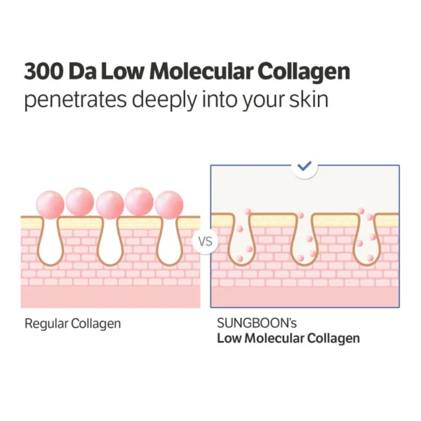 SUNGBOON EDITOR – Deep Collagen Power Boosting Cream In Serum - Image 5