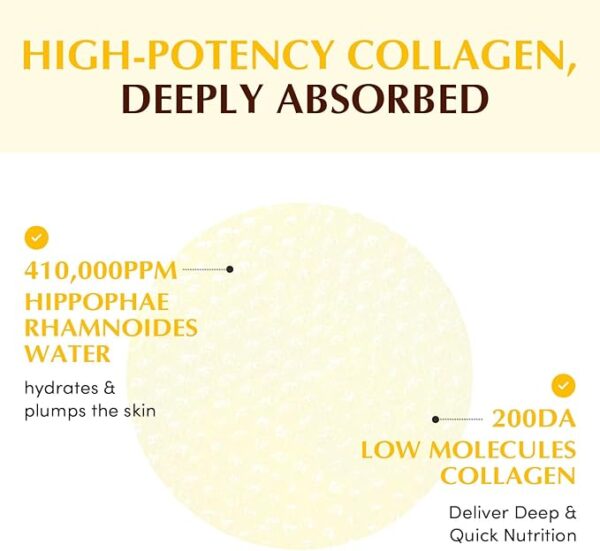 EQQUALBERRY - Collagen Glow Up Gel Toner Pads (60 Pads / 140ml) - Image 2